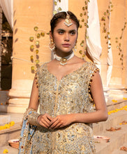 Load image into Gallery viewer, Traditional Pearl Tikka
